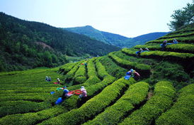 從北京出發，探索世界 一份出境旅行指南