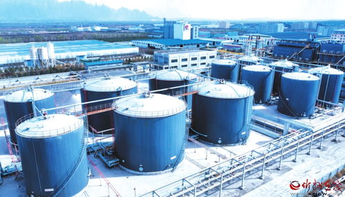 原平經濟技術開發(fā)區(qū) 引領新星炭黑產業(yè)升級的技術咨詢探索